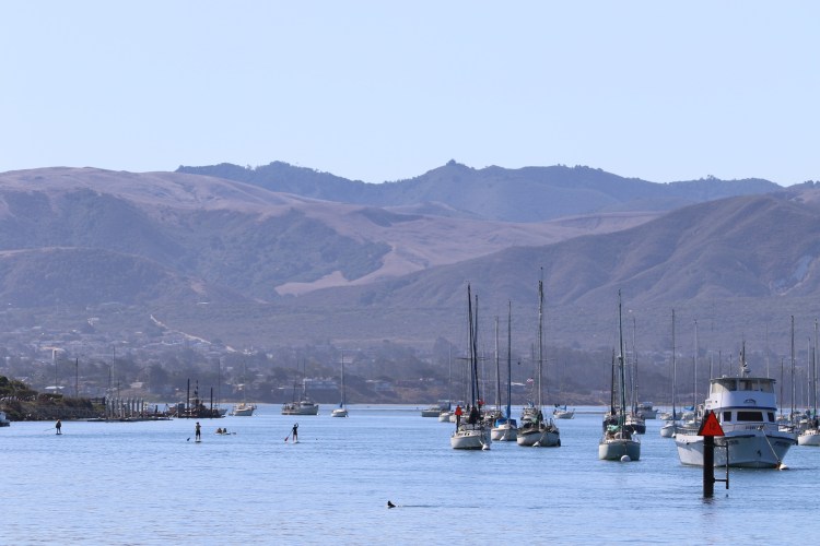 Otto_harbor_3