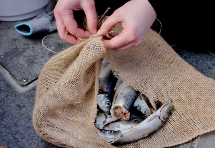 fishbag