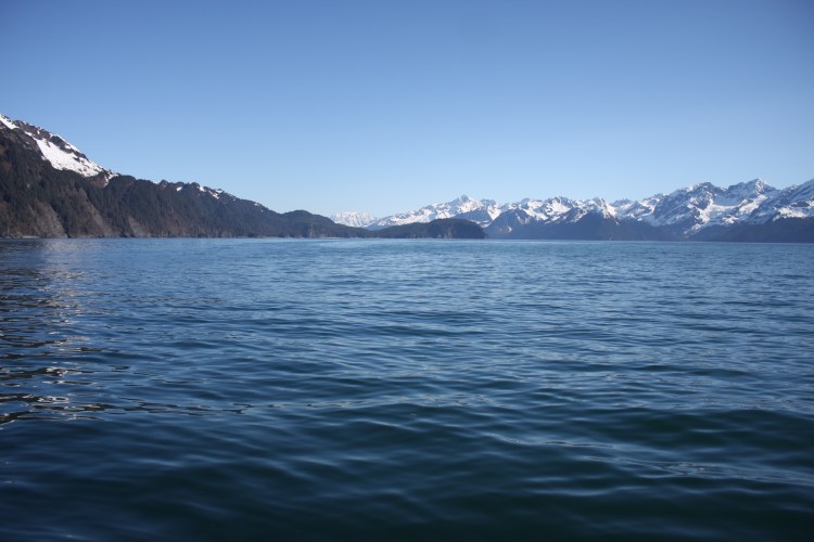 IMG_1363.JPG